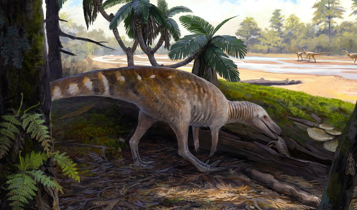 Staurikosaurus