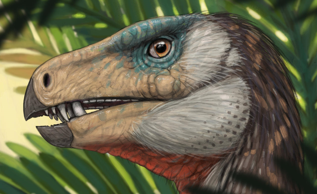 Heterodontosaurus