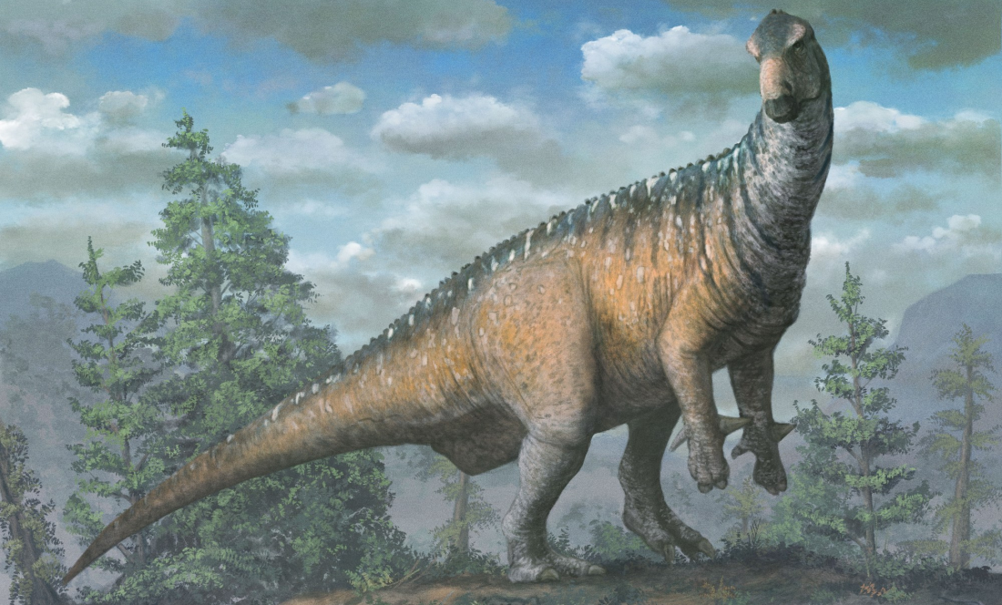 Iguanodon