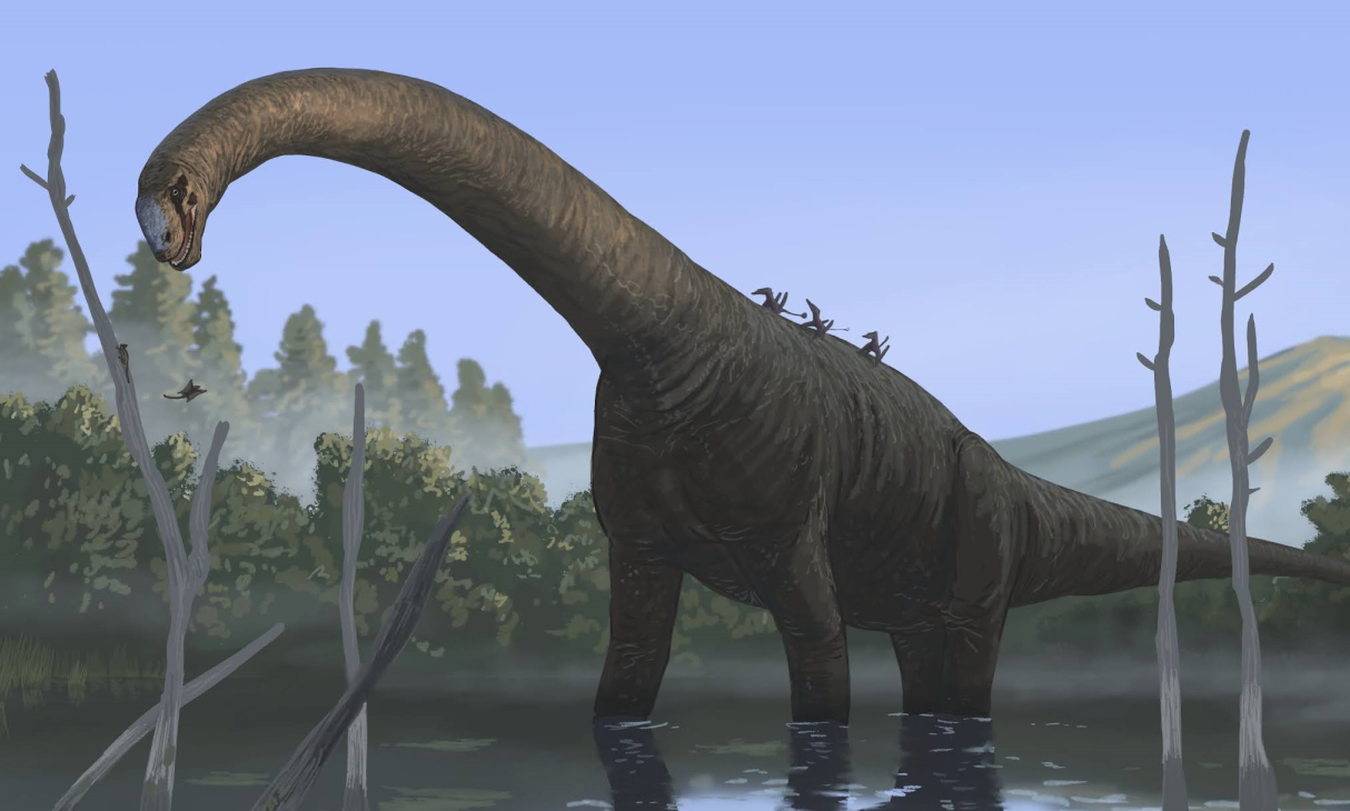 Patagosaurus