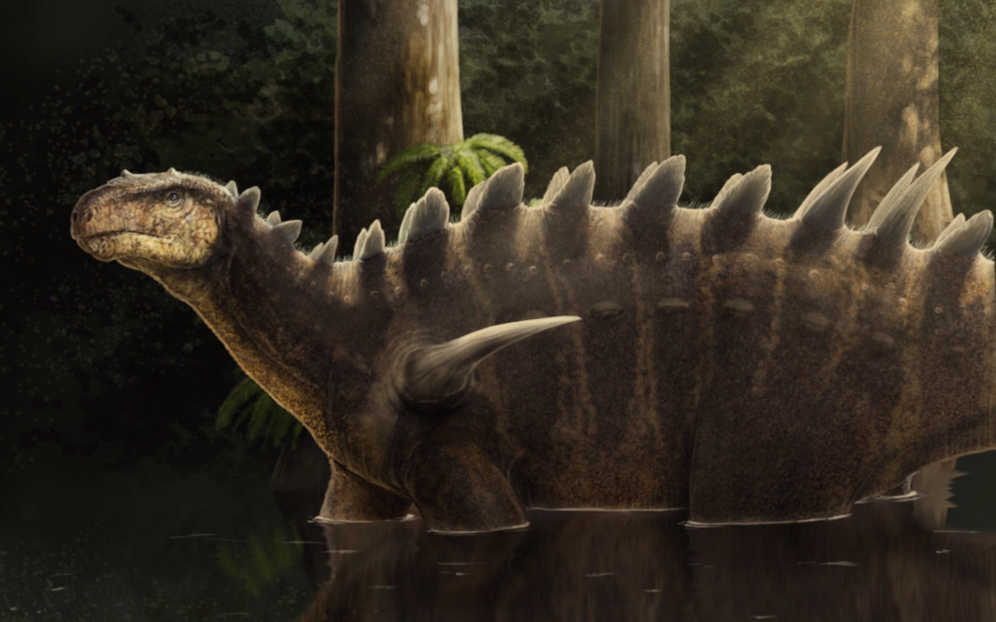 Huayangosaurus
