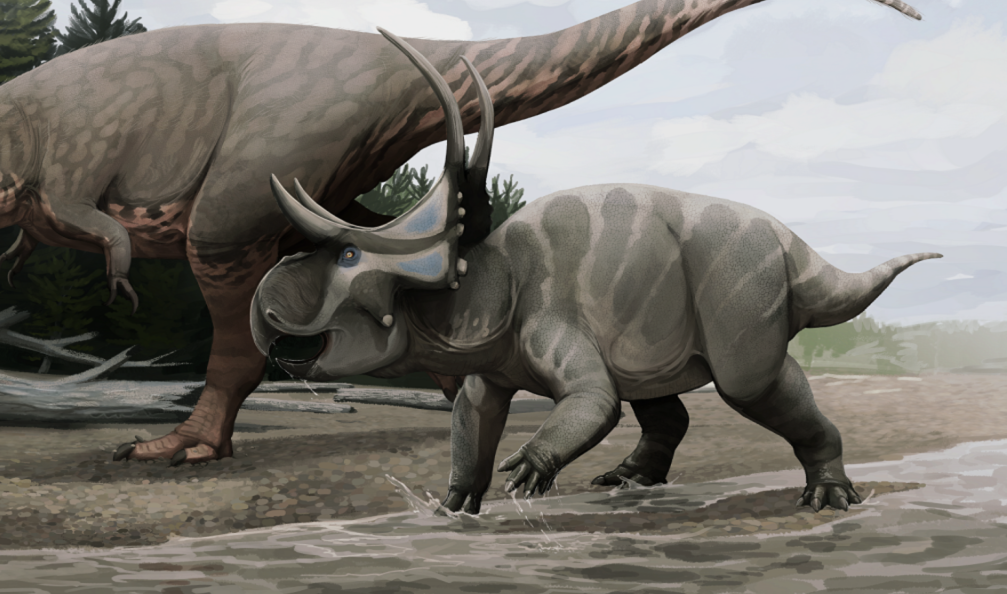 Diabloceratops