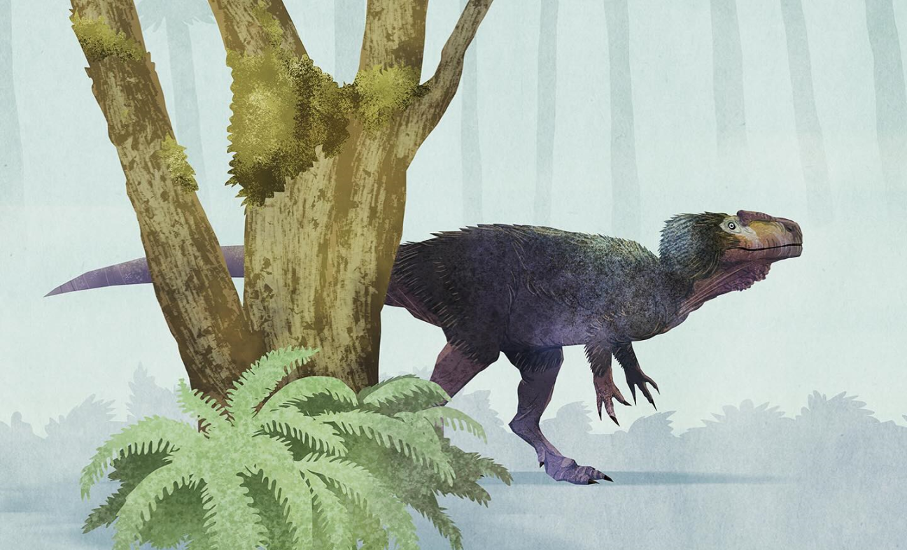 Piatnitzkysaurus