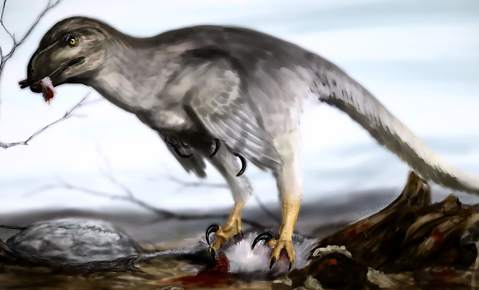 Dromaeosaurus