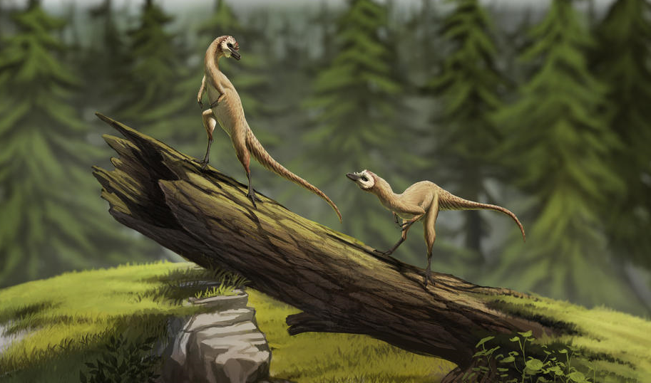 Procompsognathus