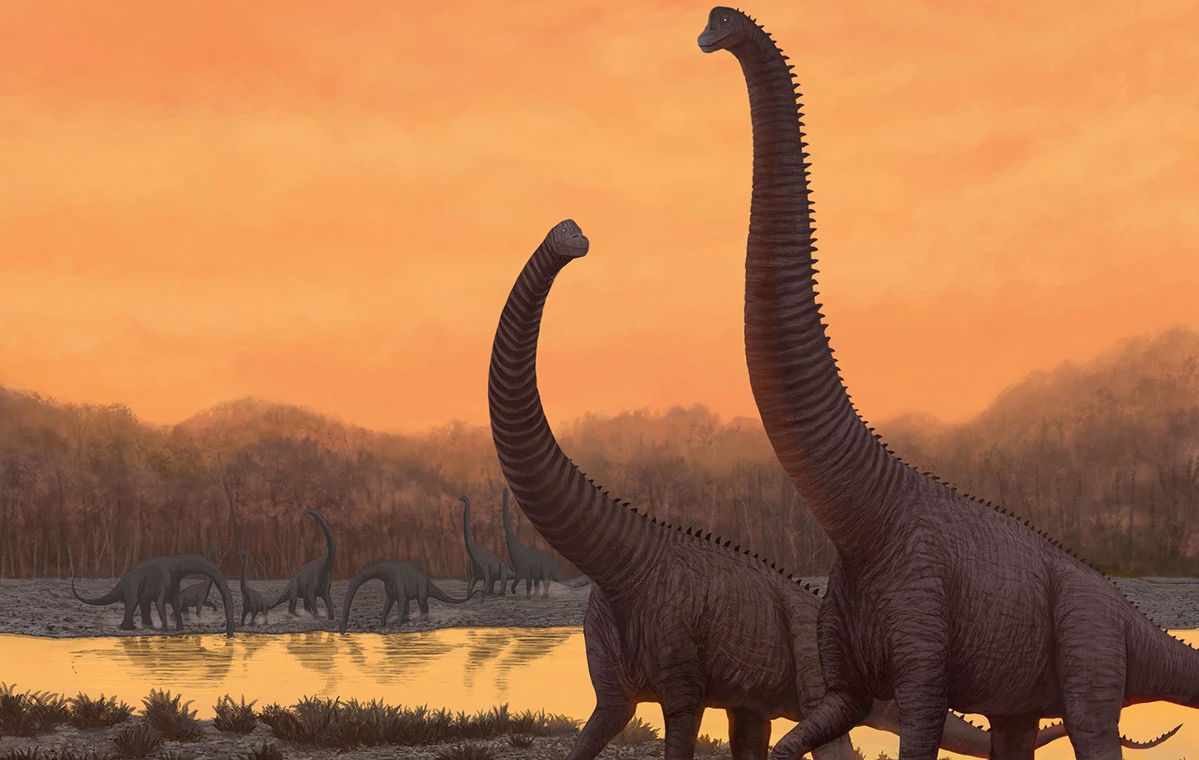 Brachiosaurus