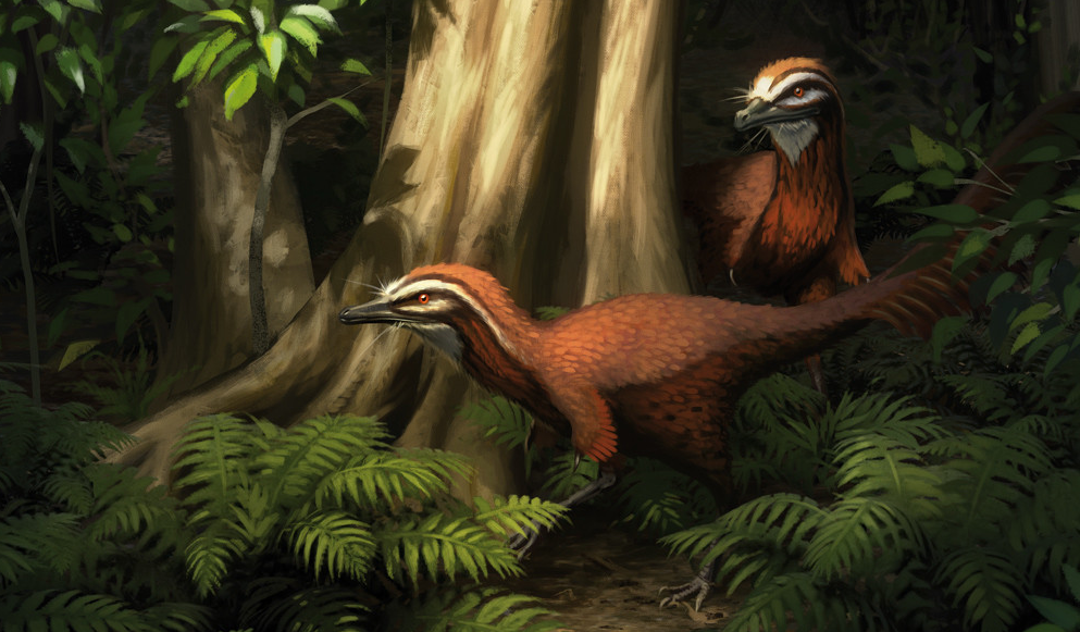 Alvarezsaurus