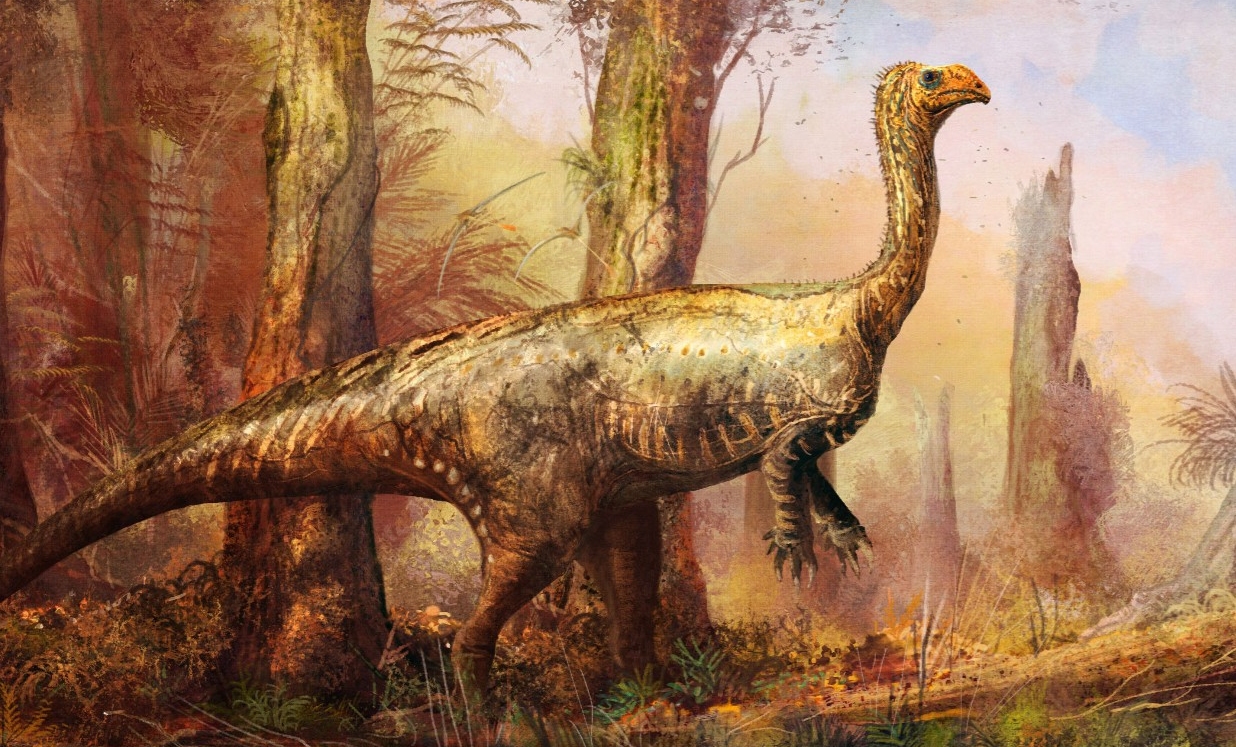 Plateosaurus