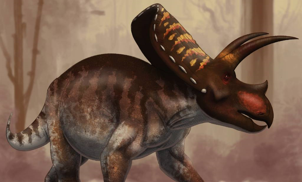 Torosaurus