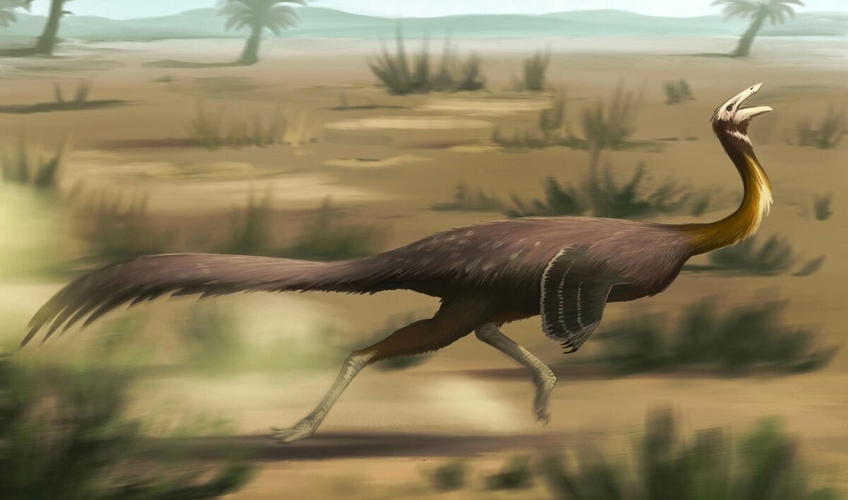 Gallimimus