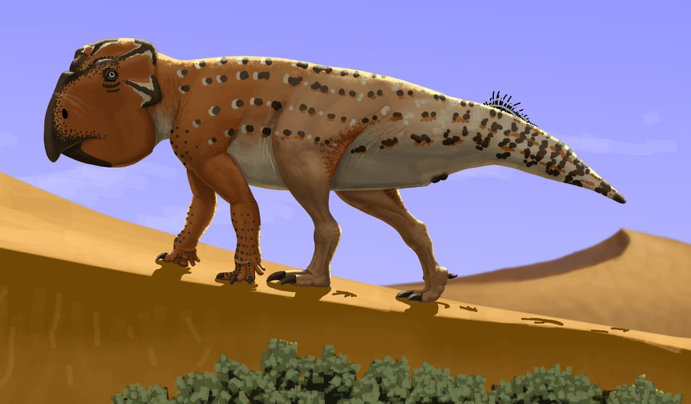 Udanoceratops