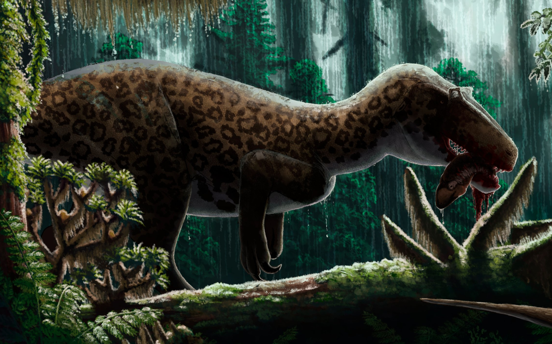 Afrovenator