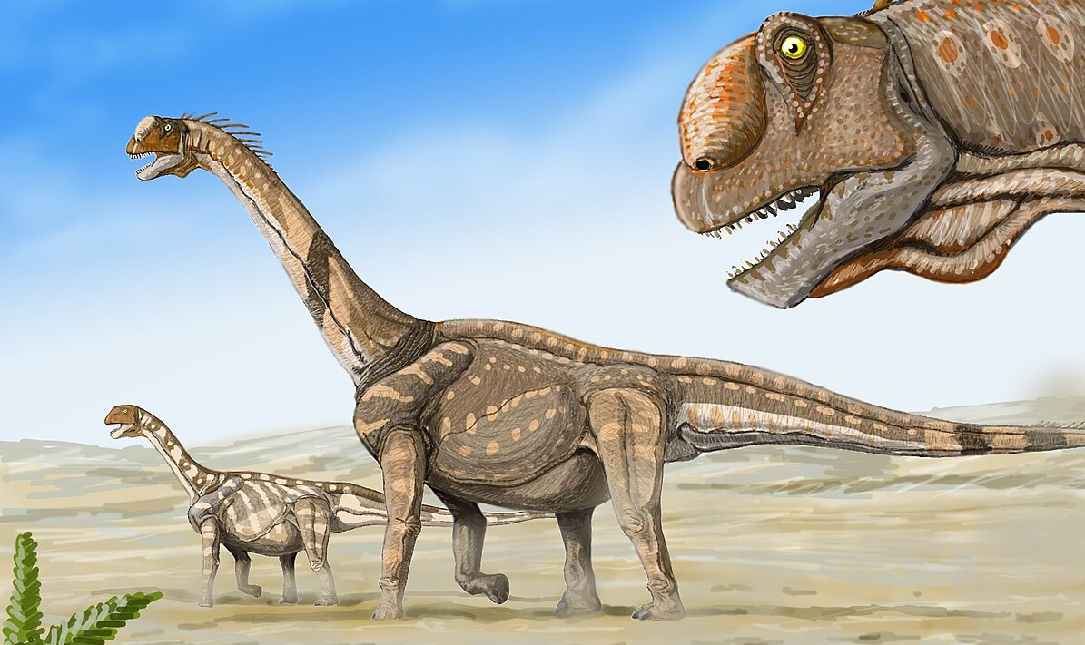 Camarasaurus