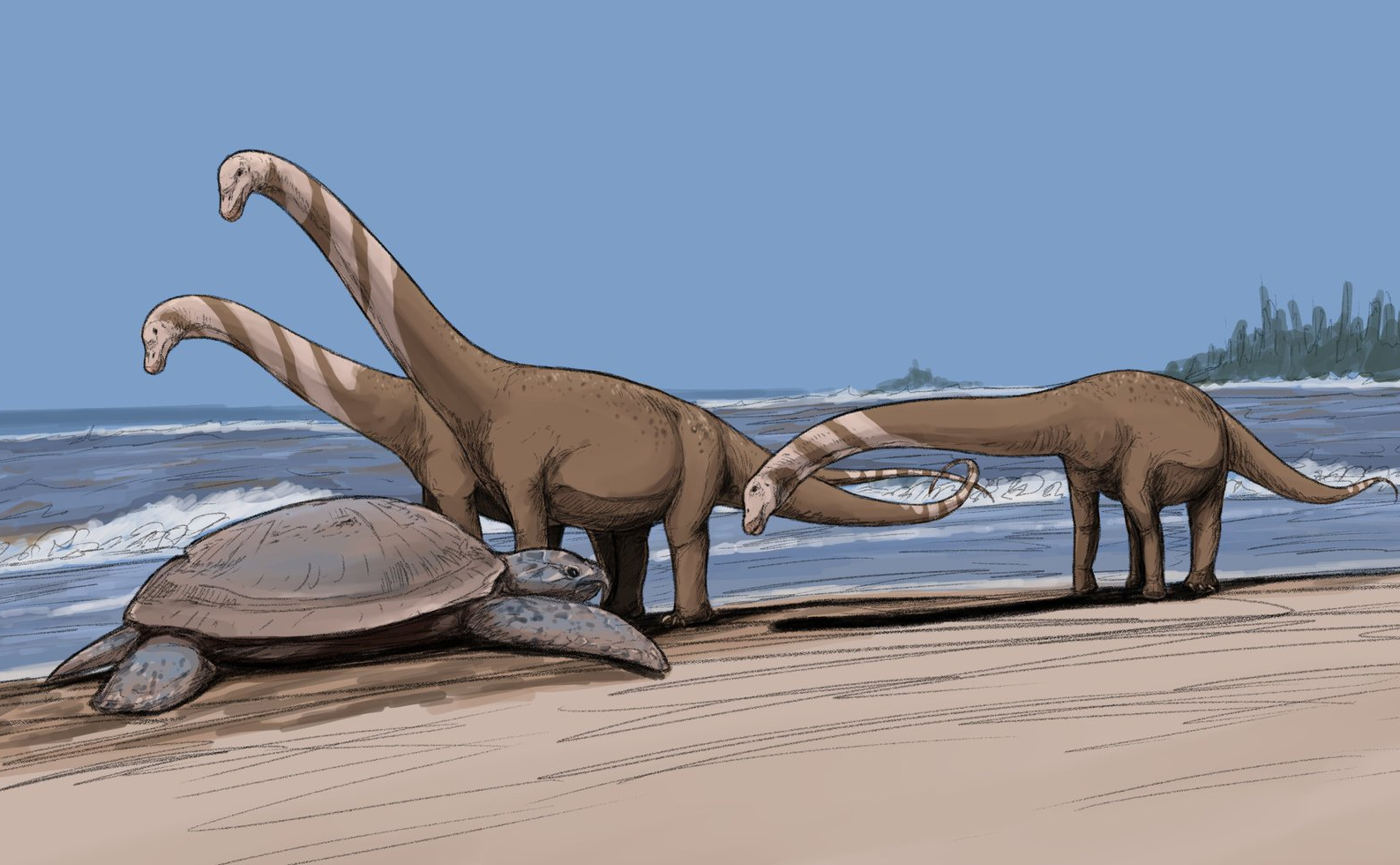 Magyarosaurus