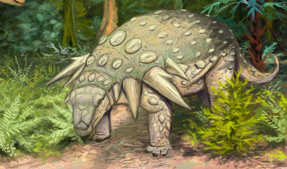 Edmontonia