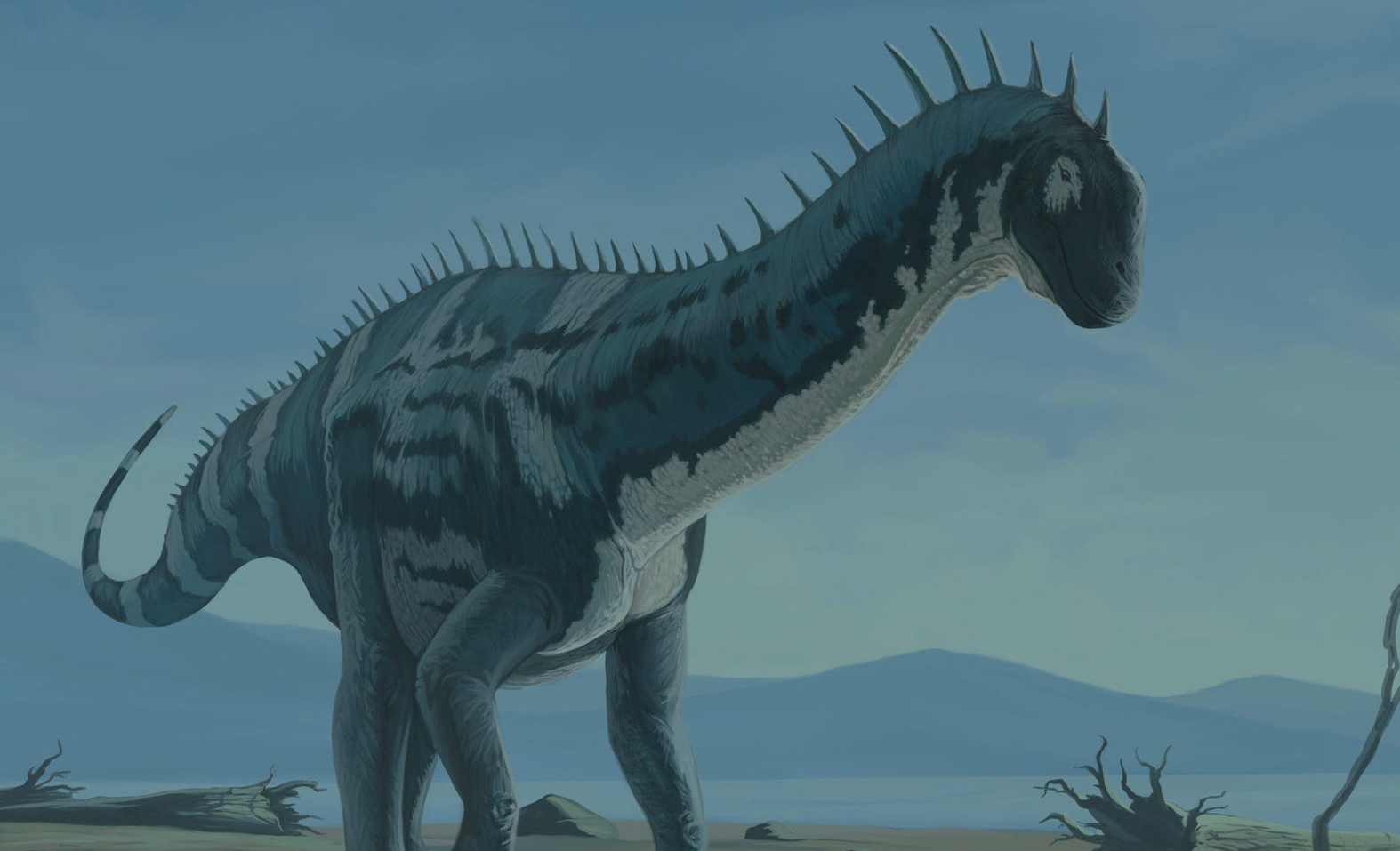 Barapasaurus