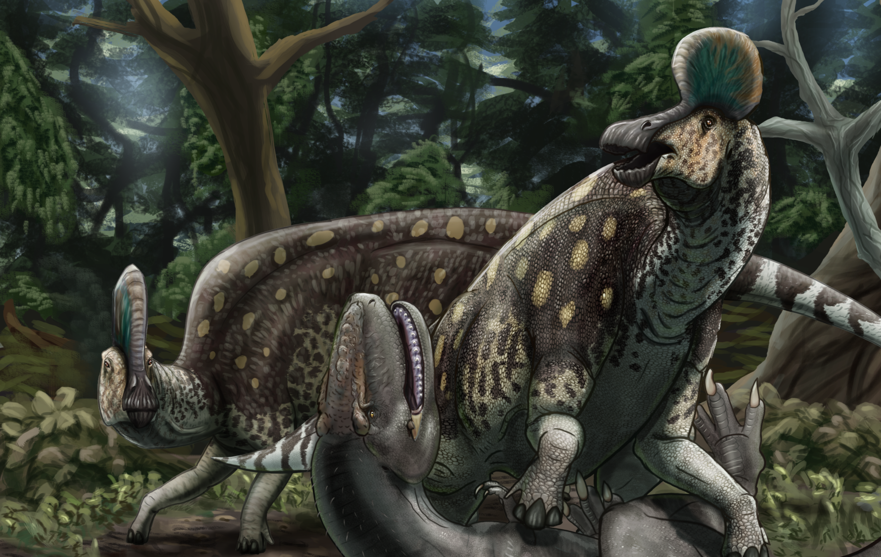 Corythosaurus
