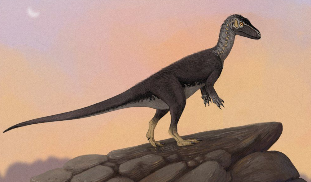 Eoraptor