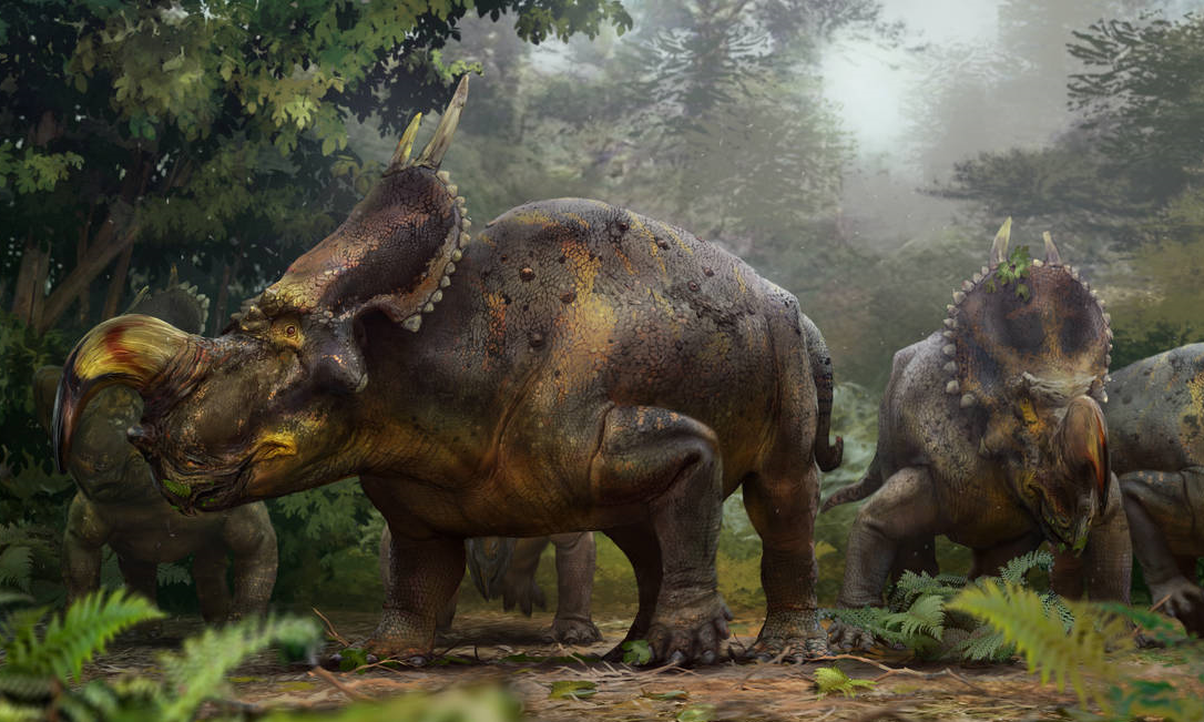 Einiosaurus