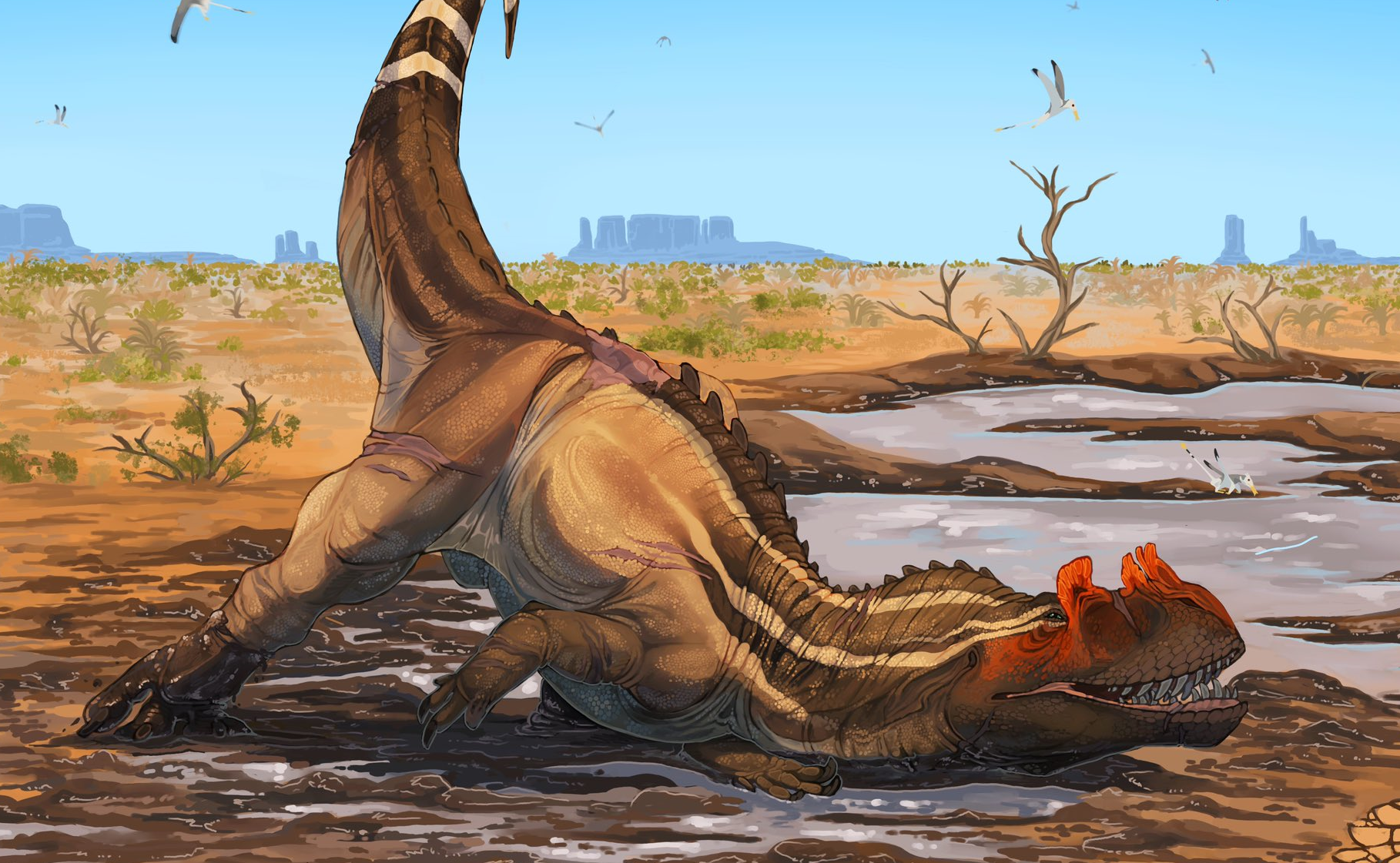 Ceratosaurus