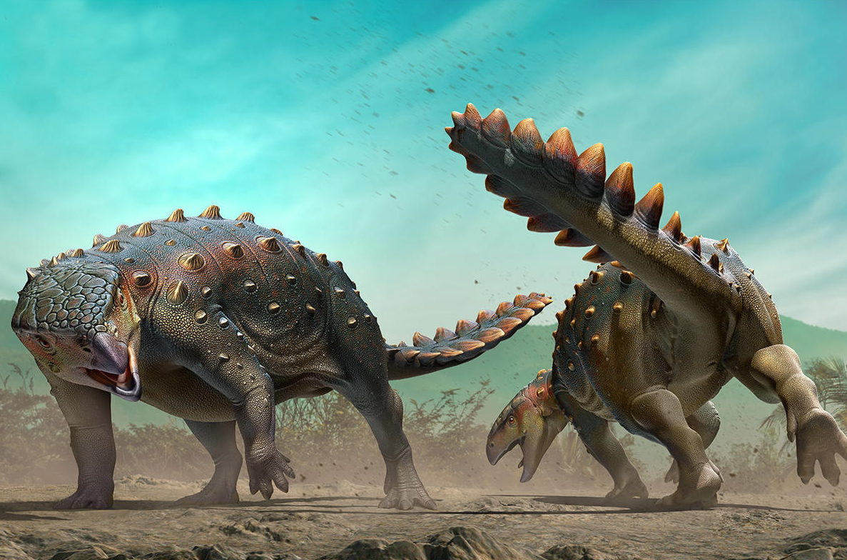 Stegouros