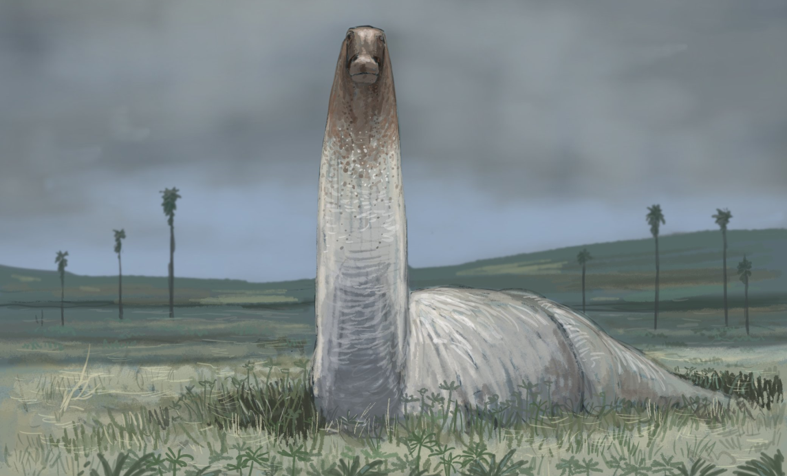 Haplocanthosaurus