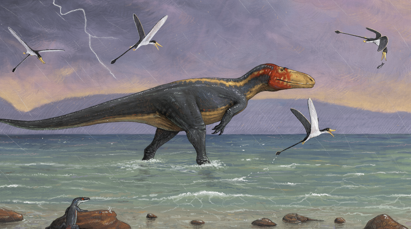 Eustreptospondylus