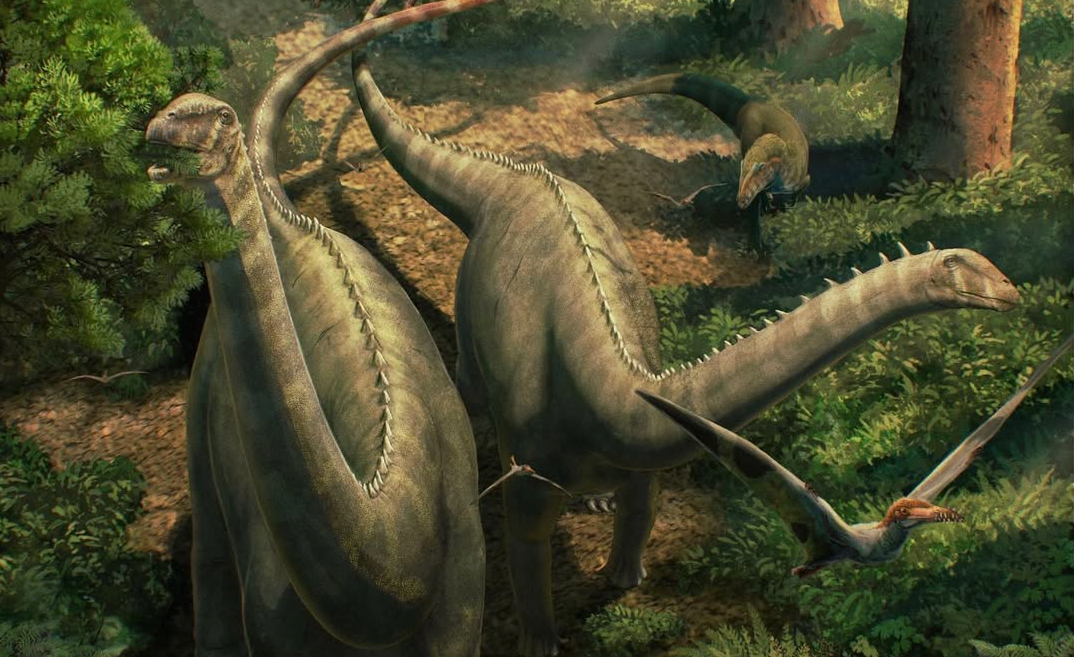 Diplodocus