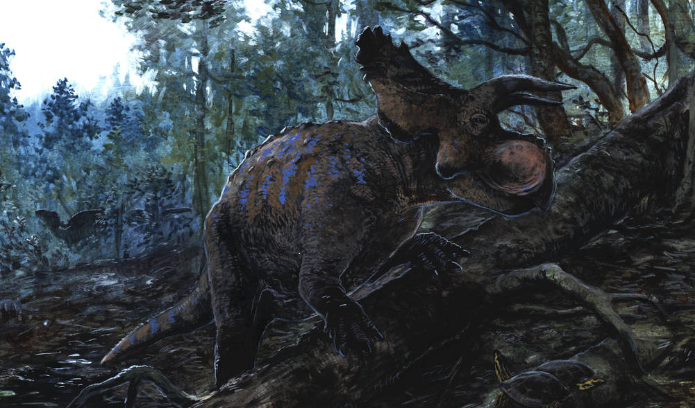 Crittendenceratops