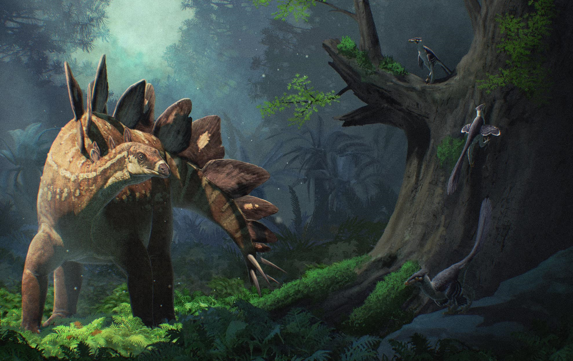Stegosaurus