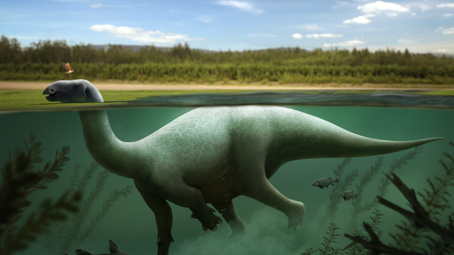 Lurdusaurus