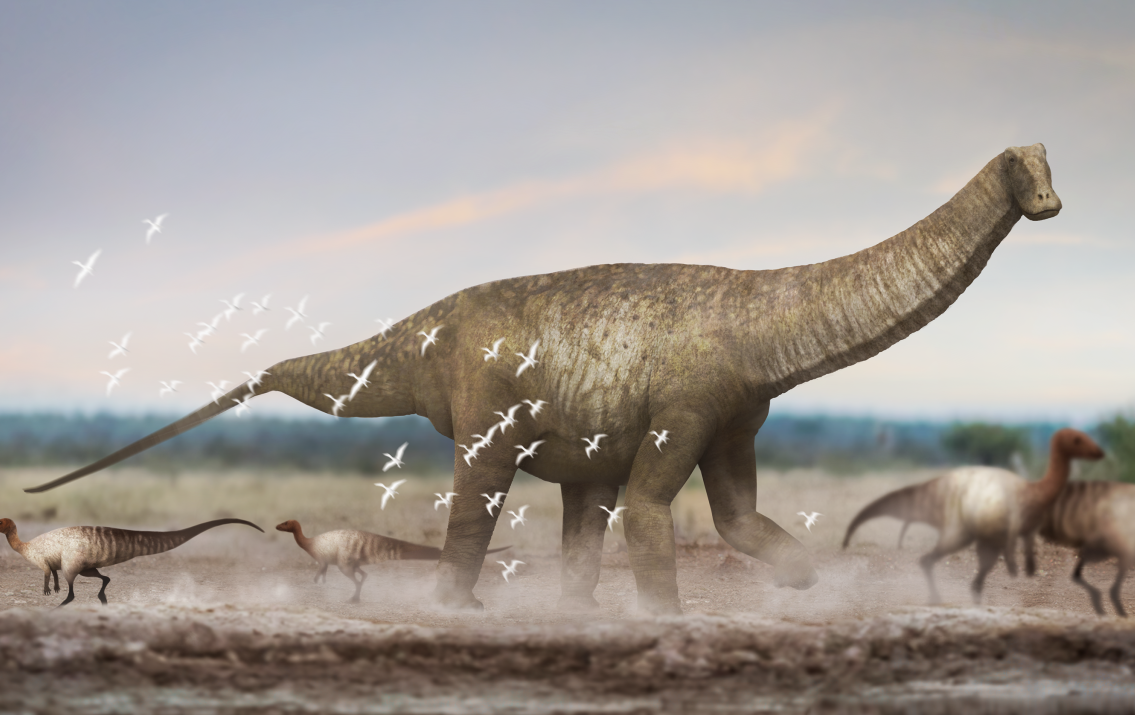 Demandasaurus