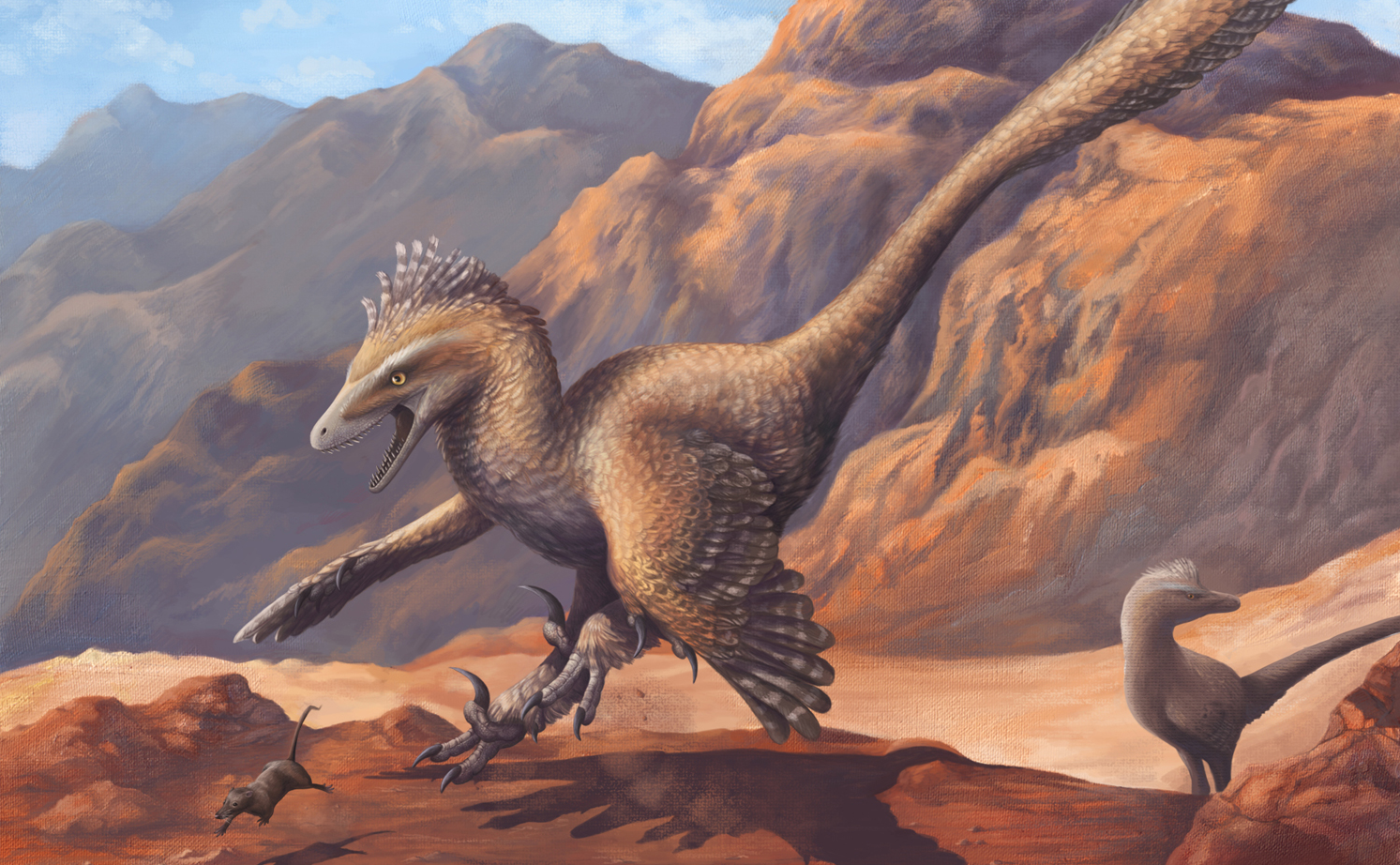 Velociraptor