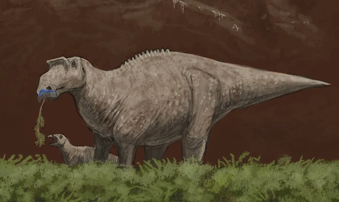 Maiasaura