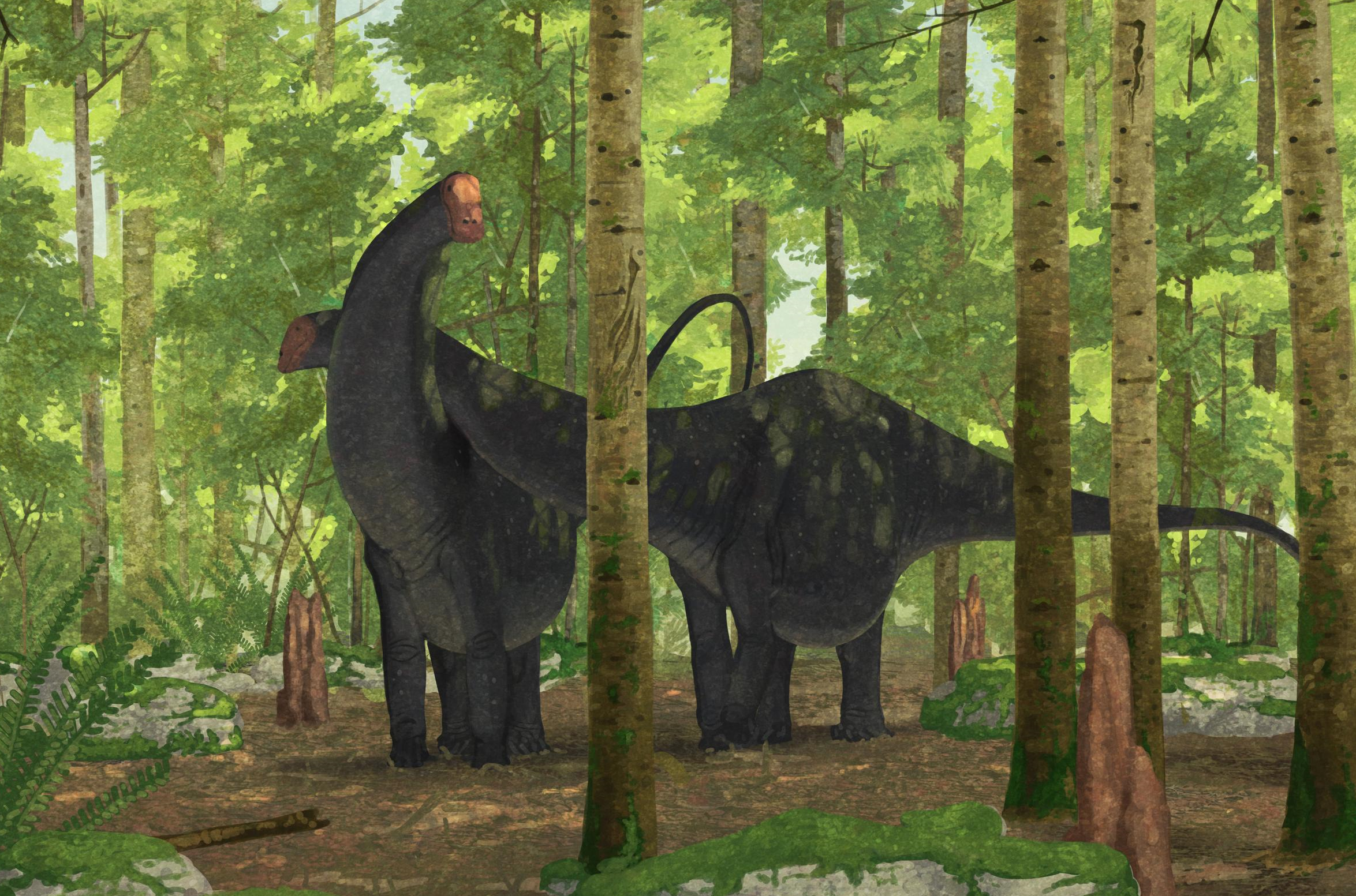 Apatosaurus