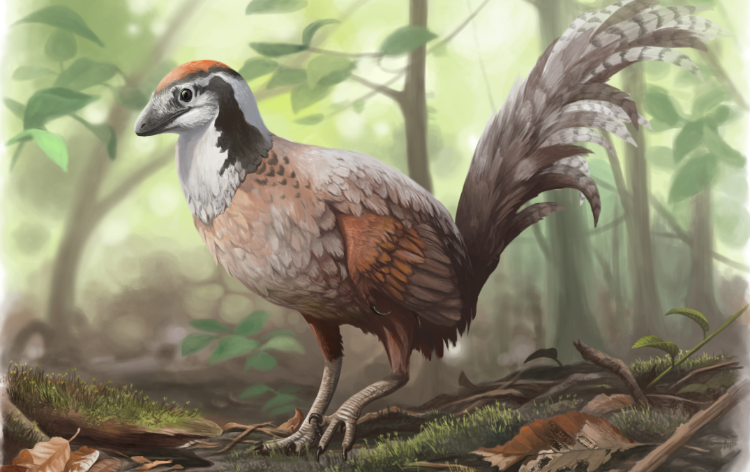 Jinfengopteryx