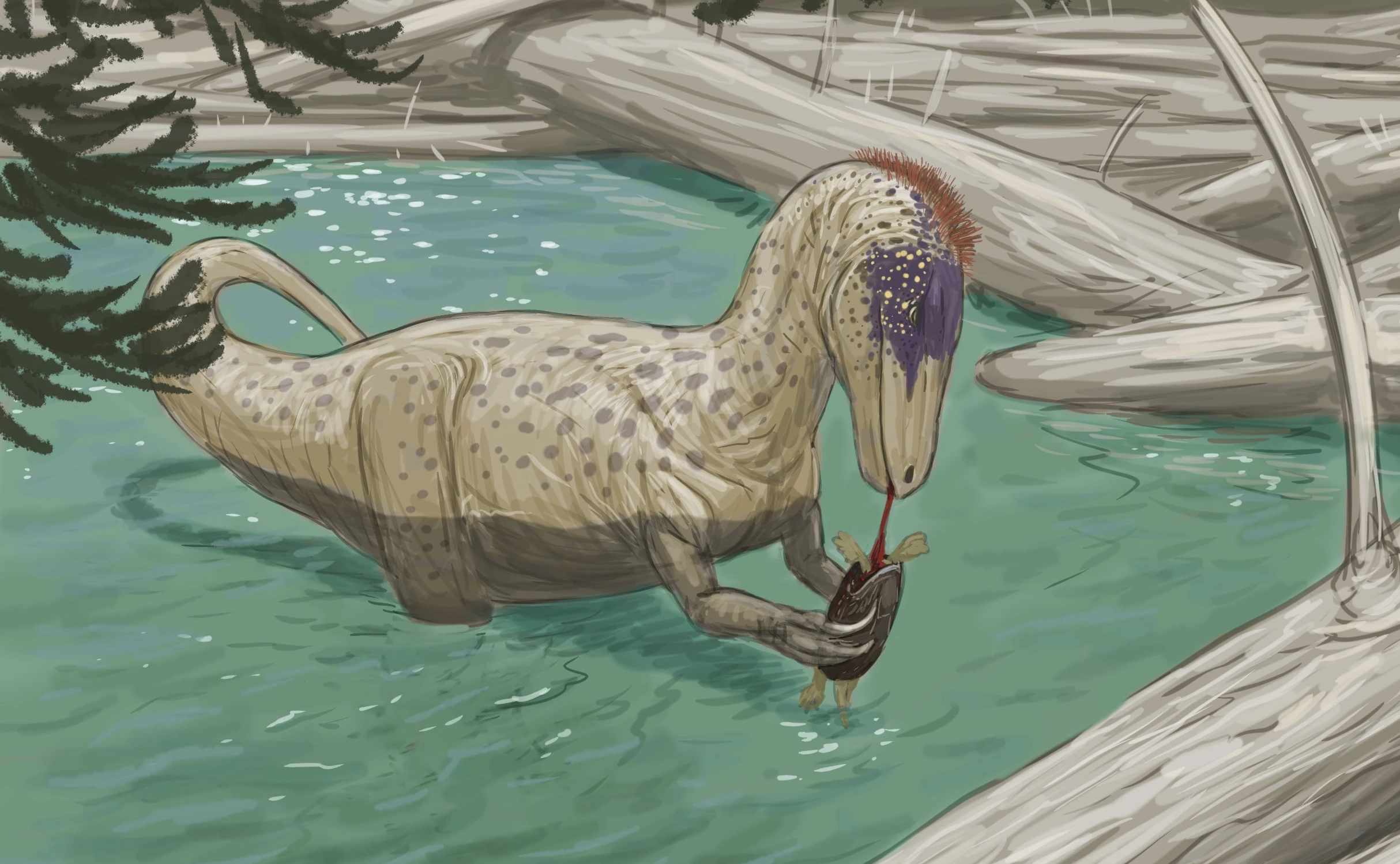 Phuwiangvenator