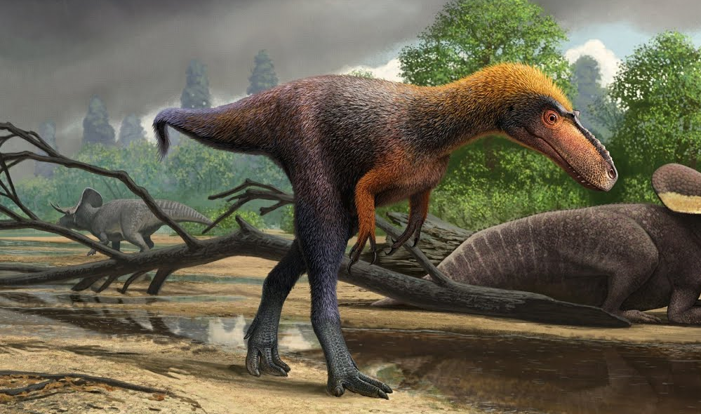 Suskityrannus