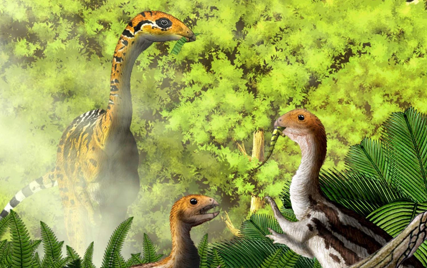 Limusaurus