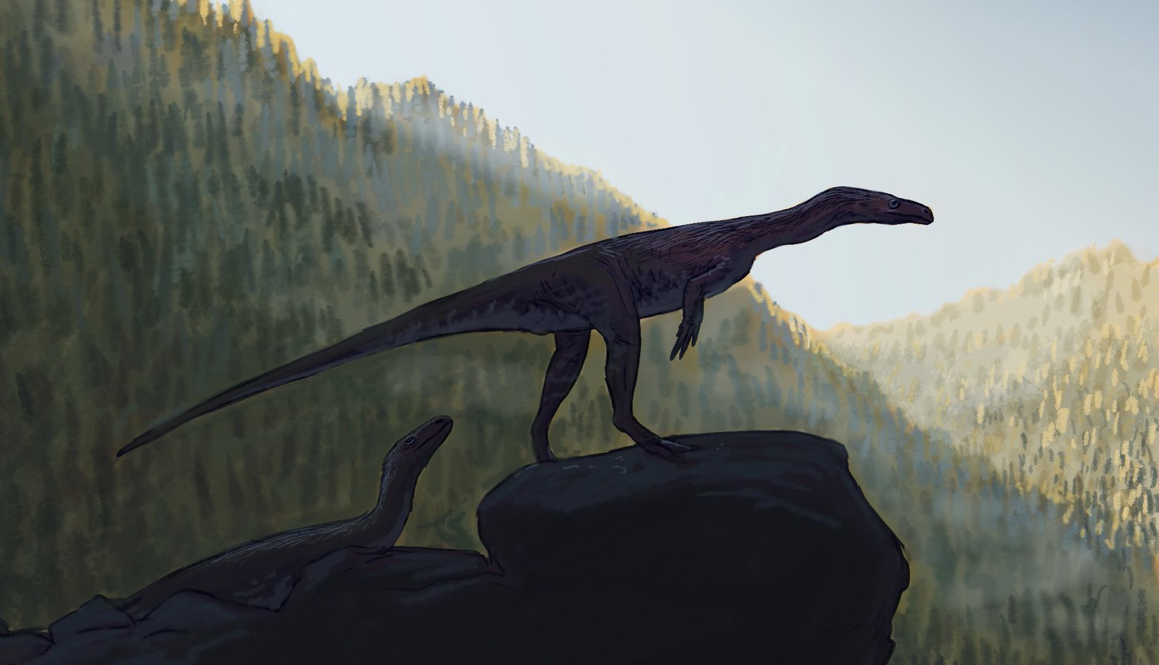 Guaibasaurus