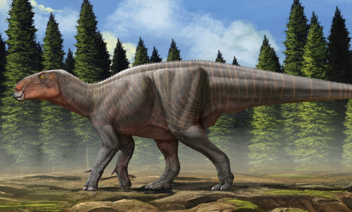 Probactrosaurus
