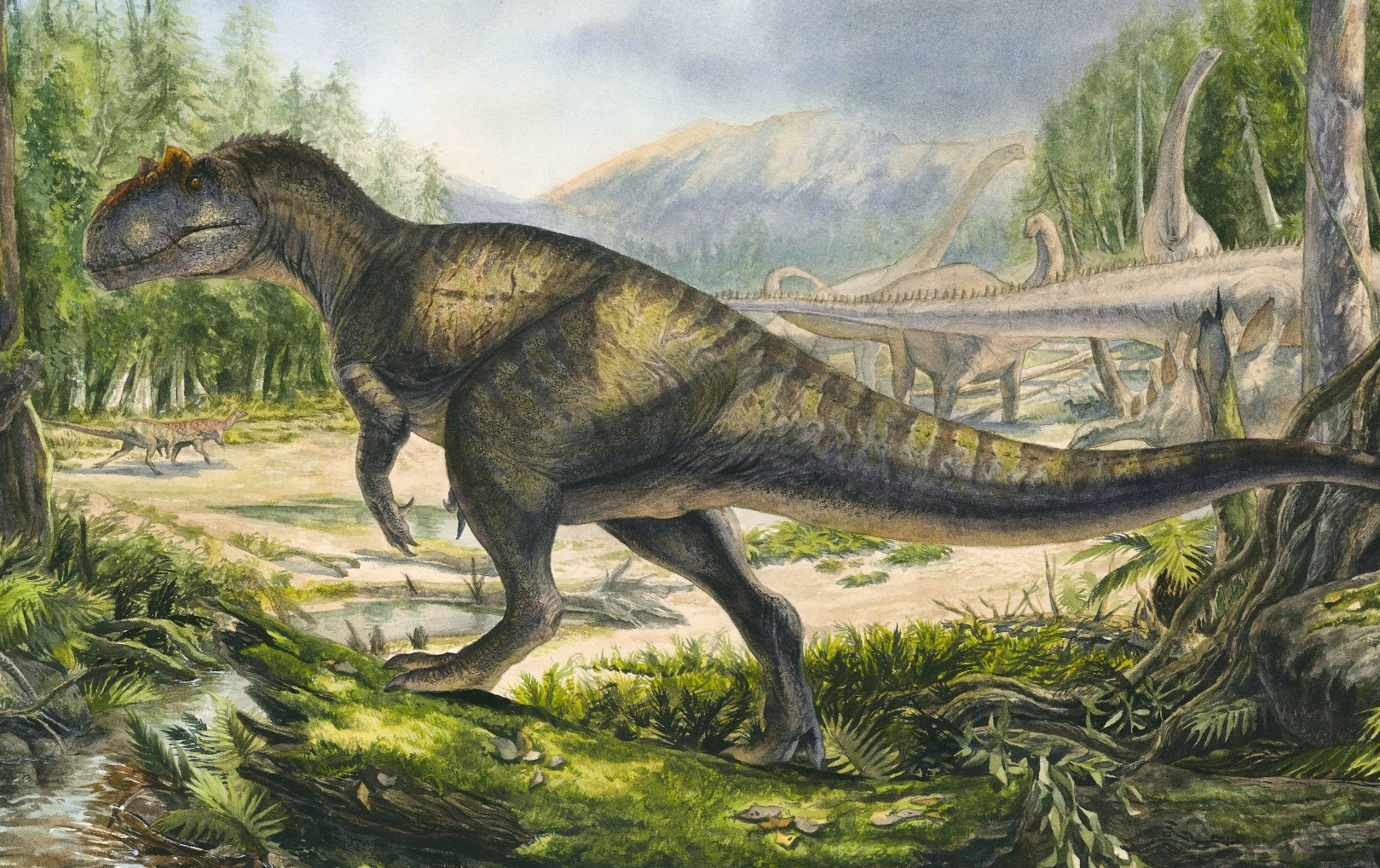 Allosaurus