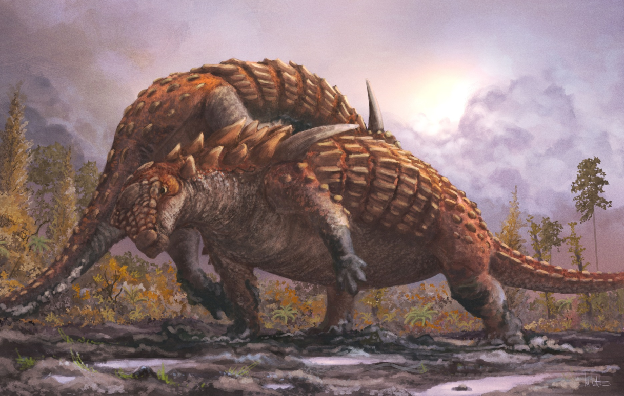 Borealopelta