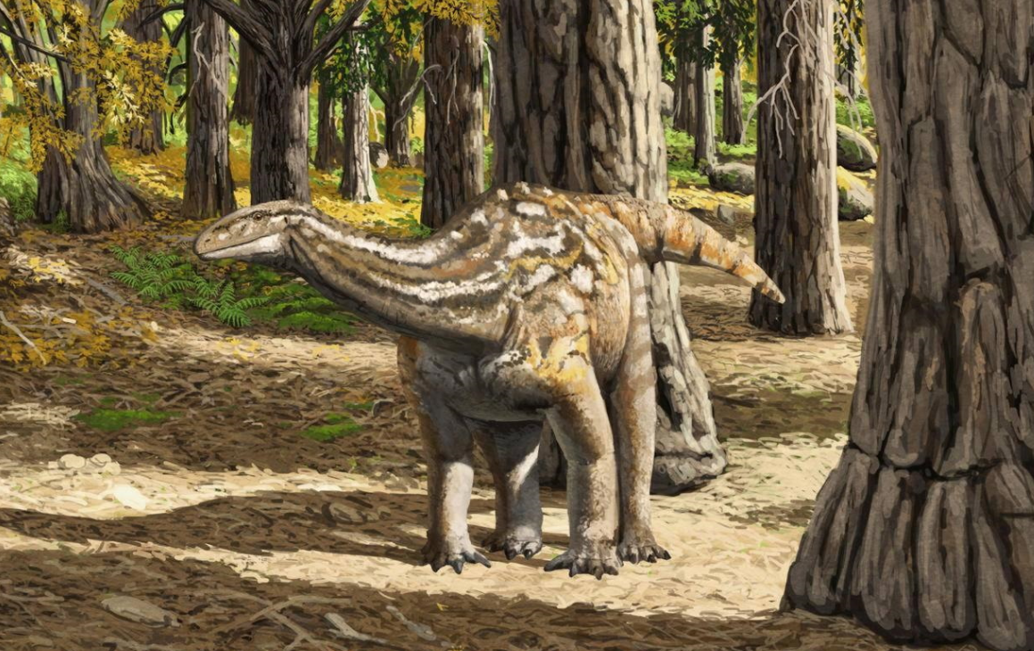 Lessemsaurus