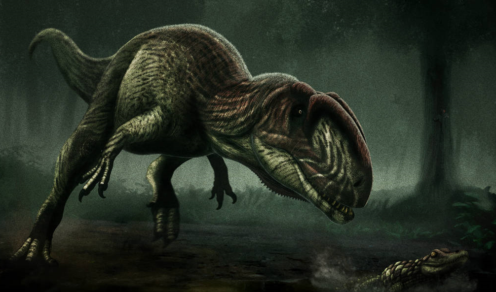 Sinraptor