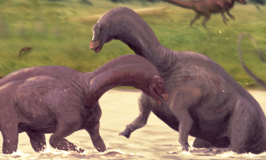 Dicraeosaurus