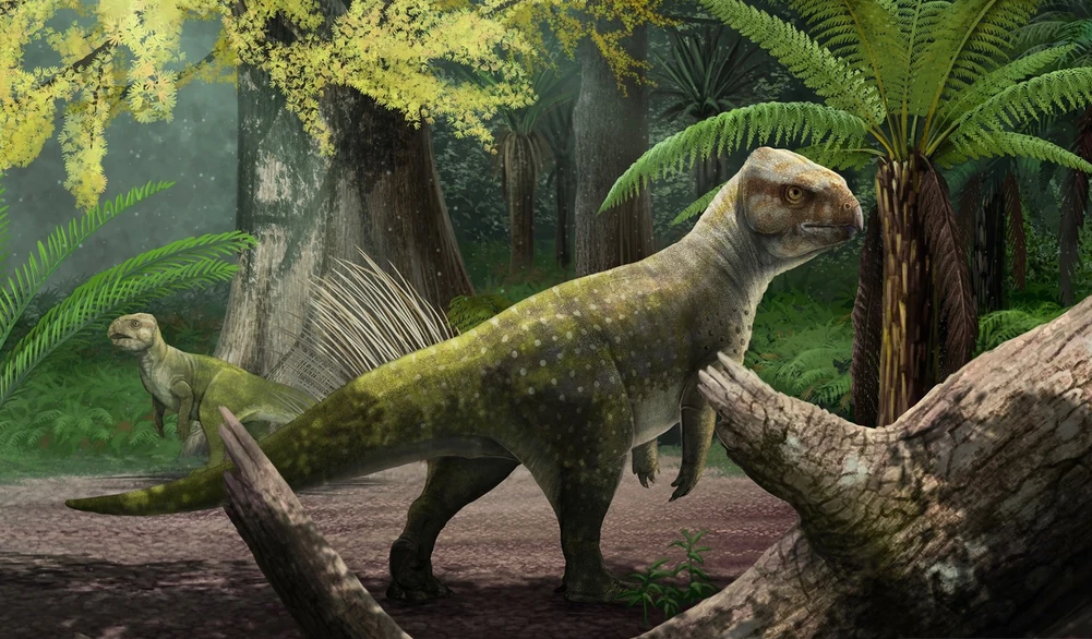 Chaoyangsaurus