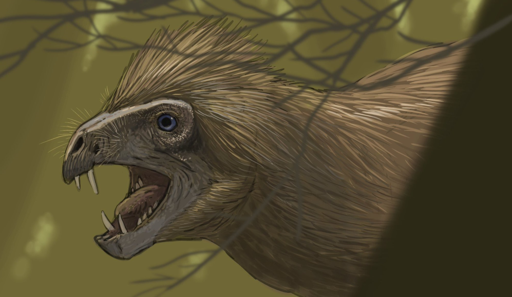Pegomastax