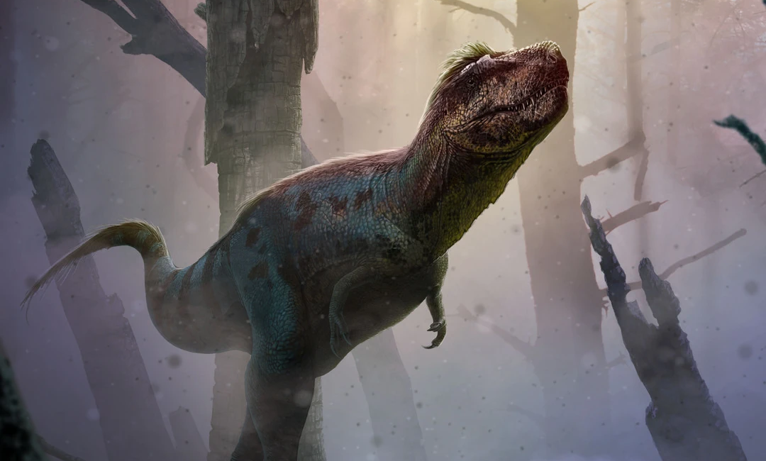Gorgosaurus