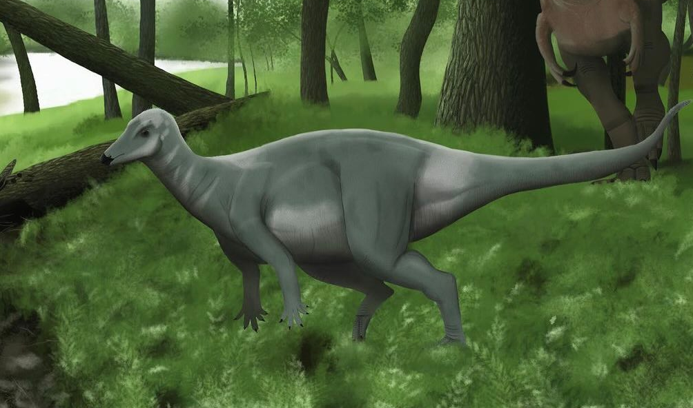 Camptosaurus